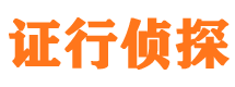 蓝山调查公司